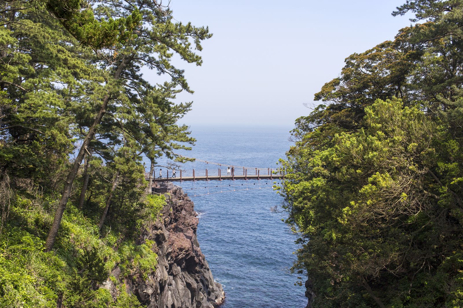 Suspension bridge over sea cliffs on the Jogasaki Coast, Izu Peninsula