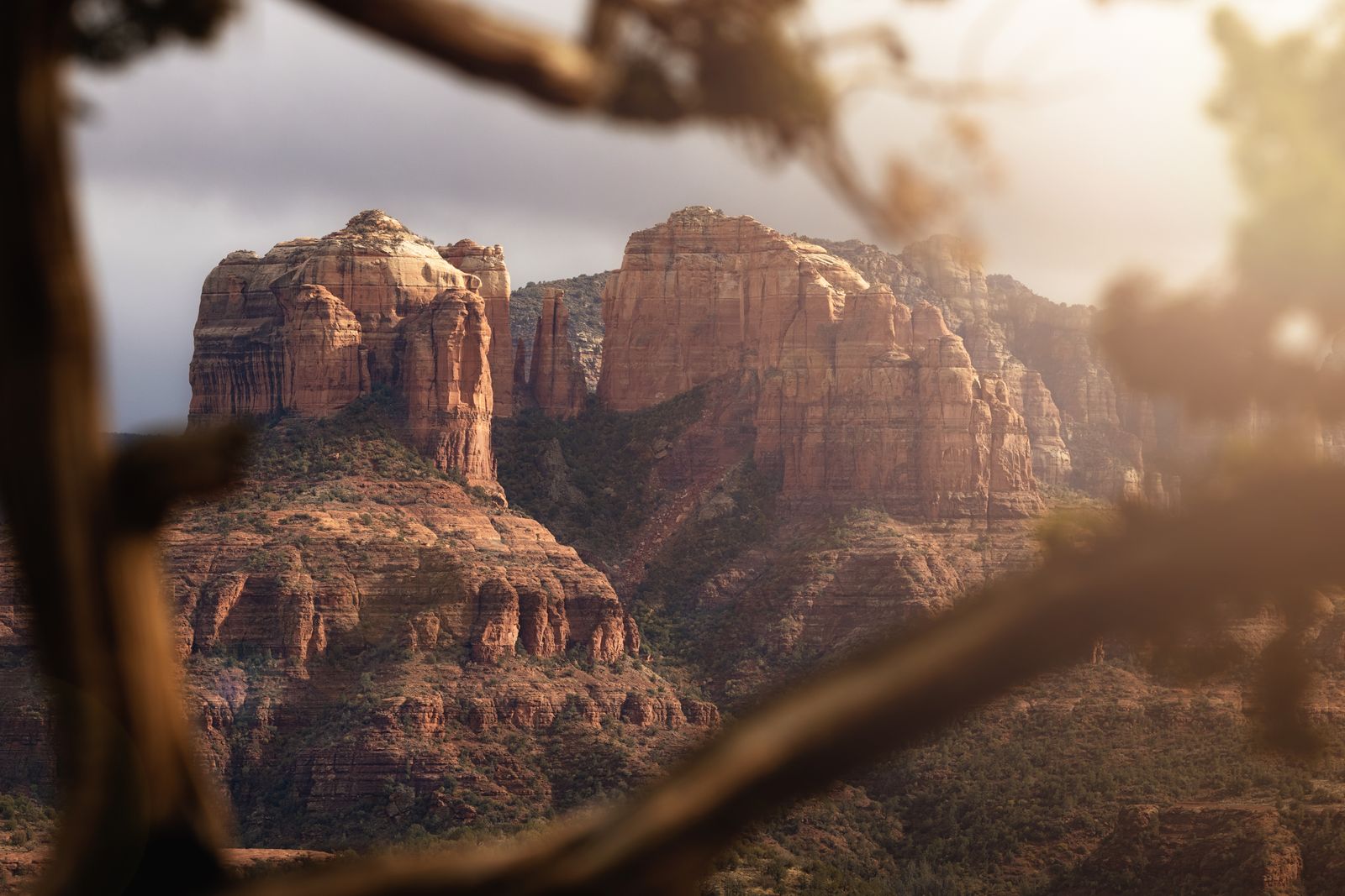 Cathedral Rock, Sedona, in warm evening light seen through juniper branches